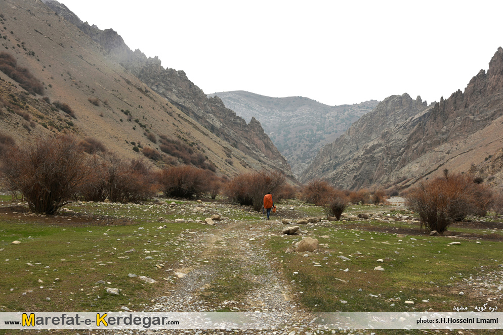 دره های رشته کوه هزارمسجد